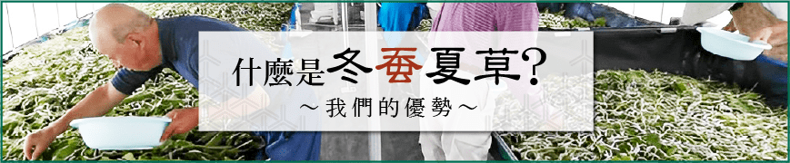 我們的優勢
