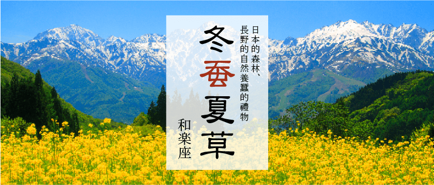 冬虫夏草