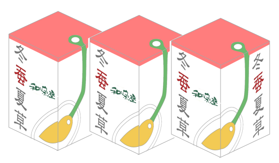 冬蚕夏草 サプリメント 3個セット